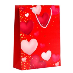 Golove Valentine Karton Çanta 26x40