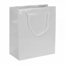 Karton Çanta 20x25cm 25'li