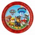 Paw Patrol Karton Tabak 23 cm 8'li